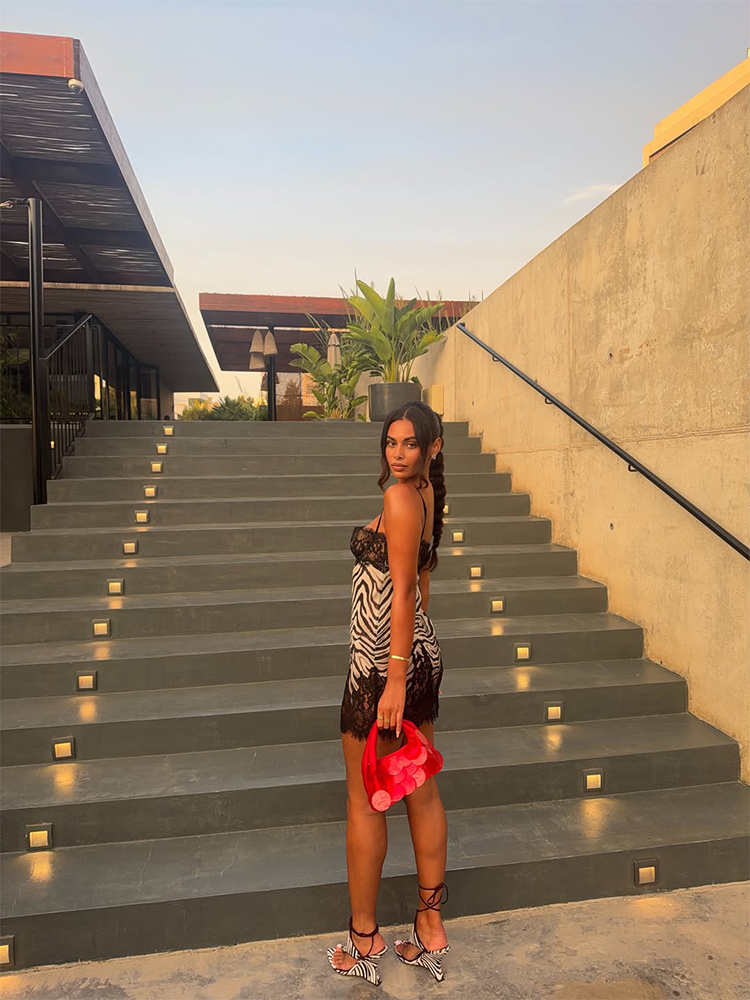 CNYISHE Camisoles Zebra Prints - đánh giá và giá Sexy Mesh Sheer Bodycon Dress